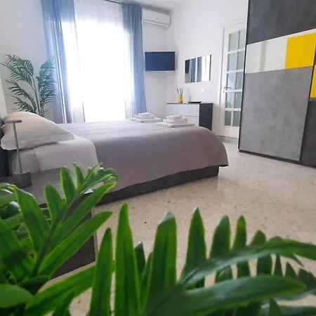 Limited Edition Bari