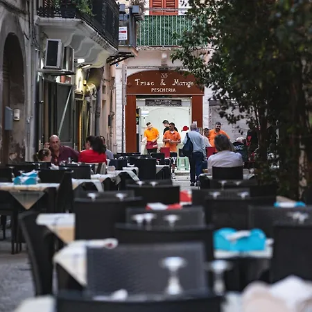 Limited Edition Vendégház